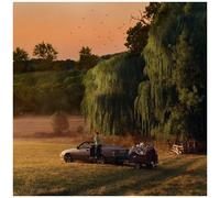 Matt Maltese - Driving Just To Drive [Vinyl Lp] 140 Gram Vinyl