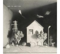 Matt Maltese - Songs That Aren't Mine [VINYL]