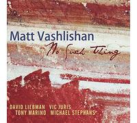 Matt Vashlishan - No Such Thing [Import]
