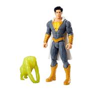 Mattel DC Shazam Figurine Eugene Articulée De 15 cm GCW46