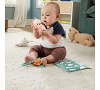 Mattel Fisher Price Coffret cadeau d'expériences sensorielles, 4 jouets sensoriels avec activités de motricité fine