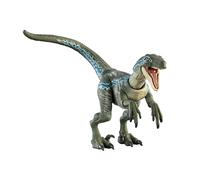 Mattel Jurassic World Collection Hammond Figurine Vélociraptor Blue, design et articulation haut de gamme, jouet à collectionner HTV62