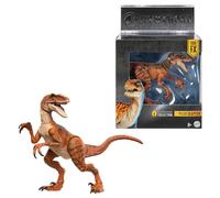 Mattel Jurassic World Figurines articulées Collection Hammond Atrociraptor Tiger, JDJ09