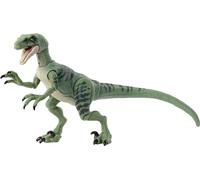 Mattel Jurassic World Hammond Collection Jouet dinosaure Velociraptor Delta avec yeux en verre, queue filaire et 14 articulations, collection de film avec design haut de gamme