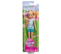 Mattel Stacie Barbie Doll (HRM05)