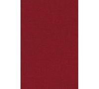 Matteo Ricci and the Catholic Mission to China, 1583Â 1610 - [Version Originale] Ronnie Po - Chia Hsia (Auteur)