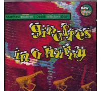 Matthew Brubeck & David Widel - Giraffes in a Hurry [Import]