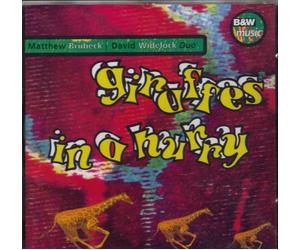 Matthew Brubeck & David Widel - Giraffes in a Hurry [Import]