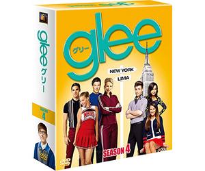 Matthew Morrison-Glee 4 Seasons Compact Box (11 DVD) [Edizione: Giappone] [Import]