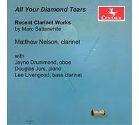 Matthew Nelson - All Your Diamond Tears [Compact Discs]