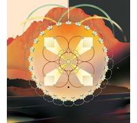 Matthewdavid On Mushrooms (A Primer for Mycelium Music) (Vinyl)