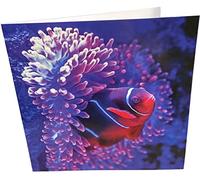 Maturi Carte d'anniversaire carrée vierge Motif poissons tropicaux