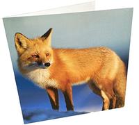 Maturi Carte d'anniversaire vierge avec renard carrée