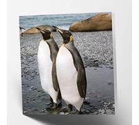 Maturi Carte d'anniversaire vierge Motif couple de pingouins