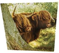 Maturi Carte d'anniversaire vierge Motif vaches des Highland