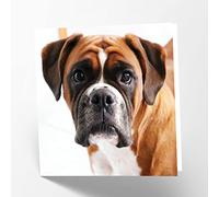 Maturi Carte de vœux vierge avec image de chien Boxer