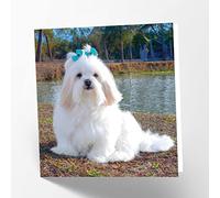 Maturi Carte de vœux vierge avec image de chien Lhasa Apso