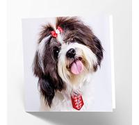 Maturi Carte de vœux vierge avec image de chien Shih Tzu