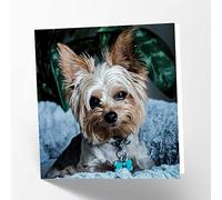 Maturi Carte de vœux vierge avec image de chien Yorkshire Terrier