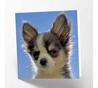 Maturi Carte de vœux vierge avec image de chihuahua