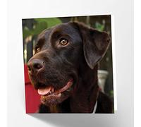 Maturi Carte de vœux vierge avec image de labrador chocolat