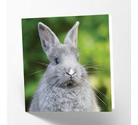 Maturi Carte de vœux vierge avec image de lapin