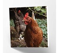 Maturi Carte de vœux vierge avec image de poule