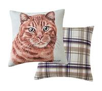 Maturi Coussin de siège rempli avec Image Aquarelle de Chat Roux, Coussin de Chaise, canapé - 43 x 43 cm