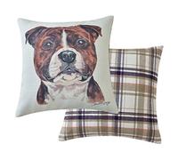 Maturi Coussin de siège rempli avec Image Aquarelle de Chien Staffordshire Bull Terrier, Coussin de Chaise, canapé - 43 x 43 cm