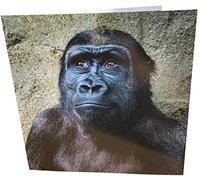 Maturi Gorilla Square Carte d'anniversaire vierge