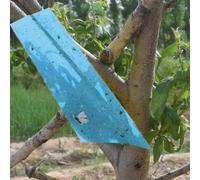 Matybobe Pièges Collants Double Face Volants, 20 Pièces, 20x25CM, Contrôle Très Efficace, Jardin de thé, Serre, Jaune (bleu-20X15cm)