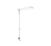 MAUL lampadaire LED MAULjura | Lampe à intensité variable avec pied à pince & 4.000 K | LED à haute efficacité énergétique | Eclairage direct & indirect | Lampe à pince avec label GS (Blanc)