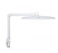 MAUL Lampe LED MAULexplore | Lampe de travail professionnelle | LED dimmable | Lampe à pince LED de 6500 K | Lampe lumière du jour pour bureau, modélisme, atelier | Blanc