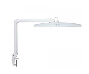 MAUL Lampe LED MAULexplore | Lampe de travail professionnelle | LED dimmable | Lampe à pince LED de 6500 K | Lampe lumière du jour pour bureau, modélisme, atelier | Blanc
