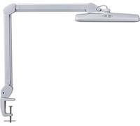 MAUL Lampe LED pour poste de travail MAULintro dimmable Pied à serrage