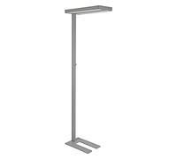 MAUL Lampe sur pied LED MAULjaval argenté pour bureau dimmable 4000K | lumière directe et indirecte confortable, intensité ajustable sans effort, socle stable près du poste