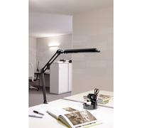 Maul MAULantlantic 8203590 Lampe LED à pince LED LED intégrée D (A - G) 9 W noir