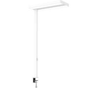 Maul MAULjaval 8258302 Lampe à LED de table LED Source lumineuse à faire remplacer un électricien 64 W blanc