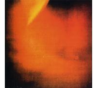 Maurizio Bianchi - Plain Truth