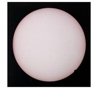 Jammer – Jahmanji – Domino