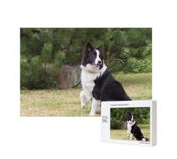 Mauvais Chien Border Collie,Puzzle Familial en Bois de 300 pièces pour Adultes et Adolescents, décoration d'intérieur