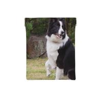 Mauvais Chien Border Collie, Sac de Rangement pour Femmes, Portefeuille supérieur à Presser, Petit Porte-Monnaie, Pochette de Changement