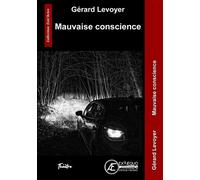 Mauvaise conscience - Gérard Levoyer - Ex Aequo - broché - Théâtre