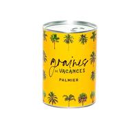 Mauvaises Graines - Graines de Vacances Palmier - Kit de Palmier à Semer en Boîte - Idée Cadeau Original Amis Famille pour Anniversaire, Retraite - Ultra Simple à Utiliser - 100% Fabriqué en France