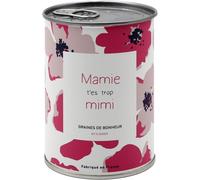 Mauvaises Graines - Kit De Fleurs À Semer En Boîte - Graines De Fleurs Colorées - Cadeau Famille, Fêtes Des Grandes Mères, Anniversaire - Simple À Utiliser - 100% Fabriqué En France (Mamie).[G157]