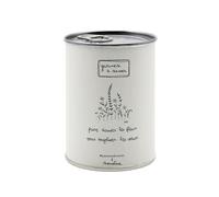 Mauvaises Graines - Kit de Fleurs à Semer en Boîte - Graines de Fleurs Colorées - Cadeau Original, Amis, Fêtes de Famille, Anniversaire - Simple à Utiliser - 100% Fabriqué en France (Danser fleurs)