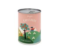 Mauvaises Graines - Kit de Fleurs à Semer en Boîte - Kit de Campagne Cadeau Original Amis Famille Fêtes - Ultra Simple à Utiliser - 100% Fabriqué en France (Yéyé Campagne)