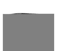 Mavaol Bonsai Fil d'aluminium Formation Noir Jardin Horticulture (2,5 mm)