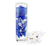 Maverton Vase en Verre gravé pour couple, Vase fleur en verre transparent