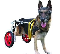 MAVERYGFF Grand Fauteuil Roulant réglable pour Pattes arrière de Chien, Outil de Marche léger pour la rééducation des Jambes du Chariot assisté (L, XL)